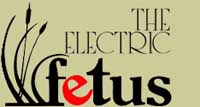 Electric Fetus