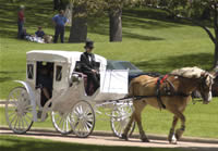 Picture of The Hitching Company