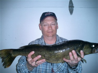 Picture of Just Bite Me <br> Miller's Bait