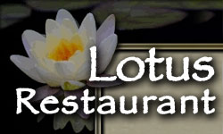 Lotus Restaurant 
