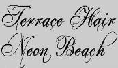 Terrace Hair / Neon Beach