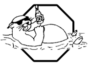 Otter's Saloon