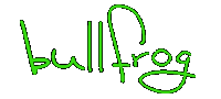BullFrog Cajun Bar